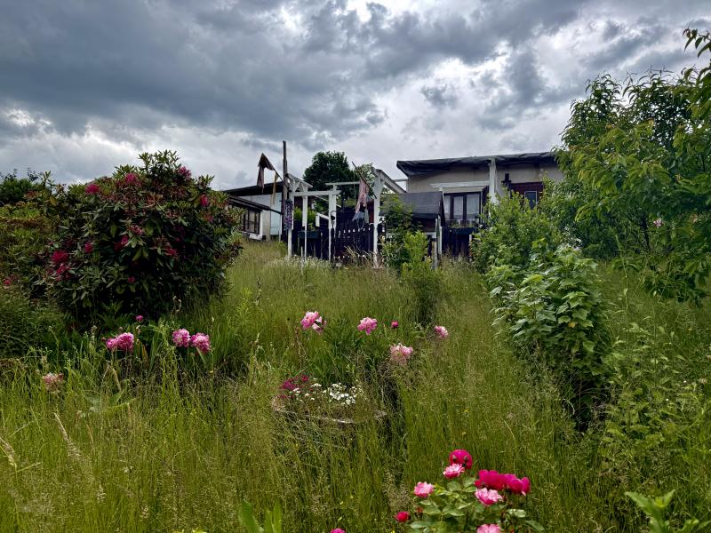 Gartenbild
