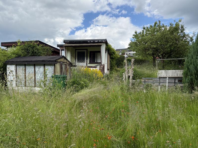 Gartenbild