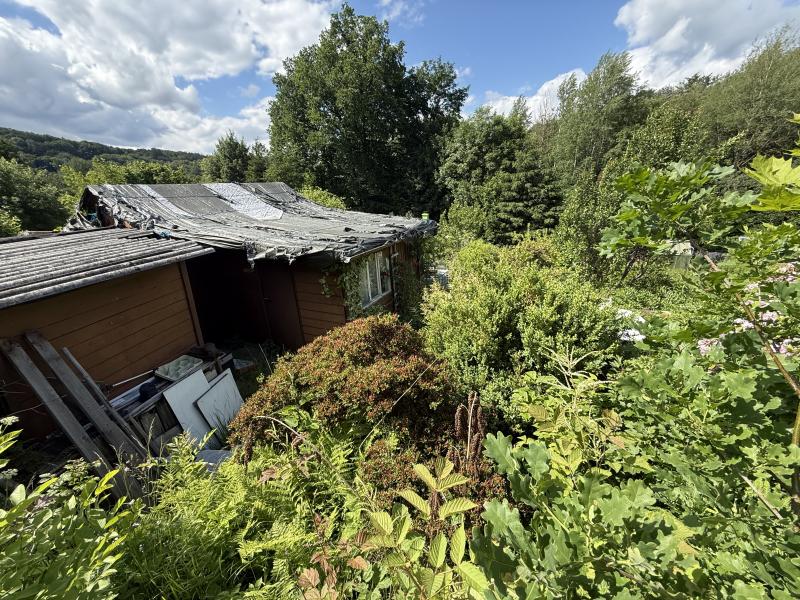 Gartenbild