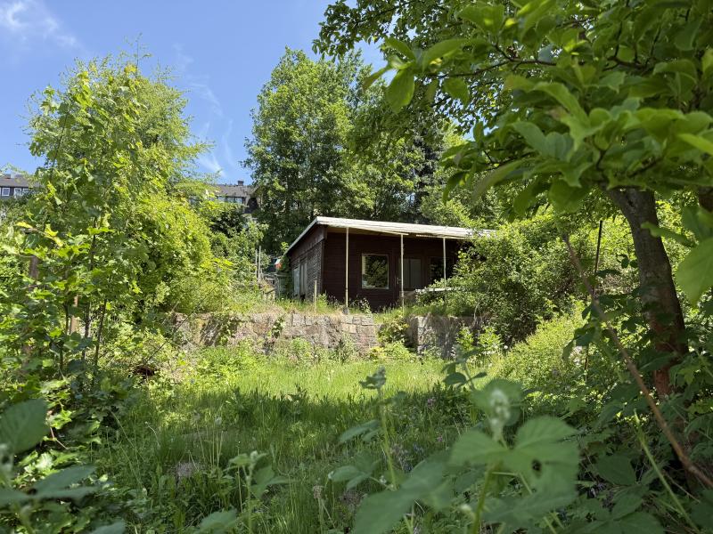 Gartenbild